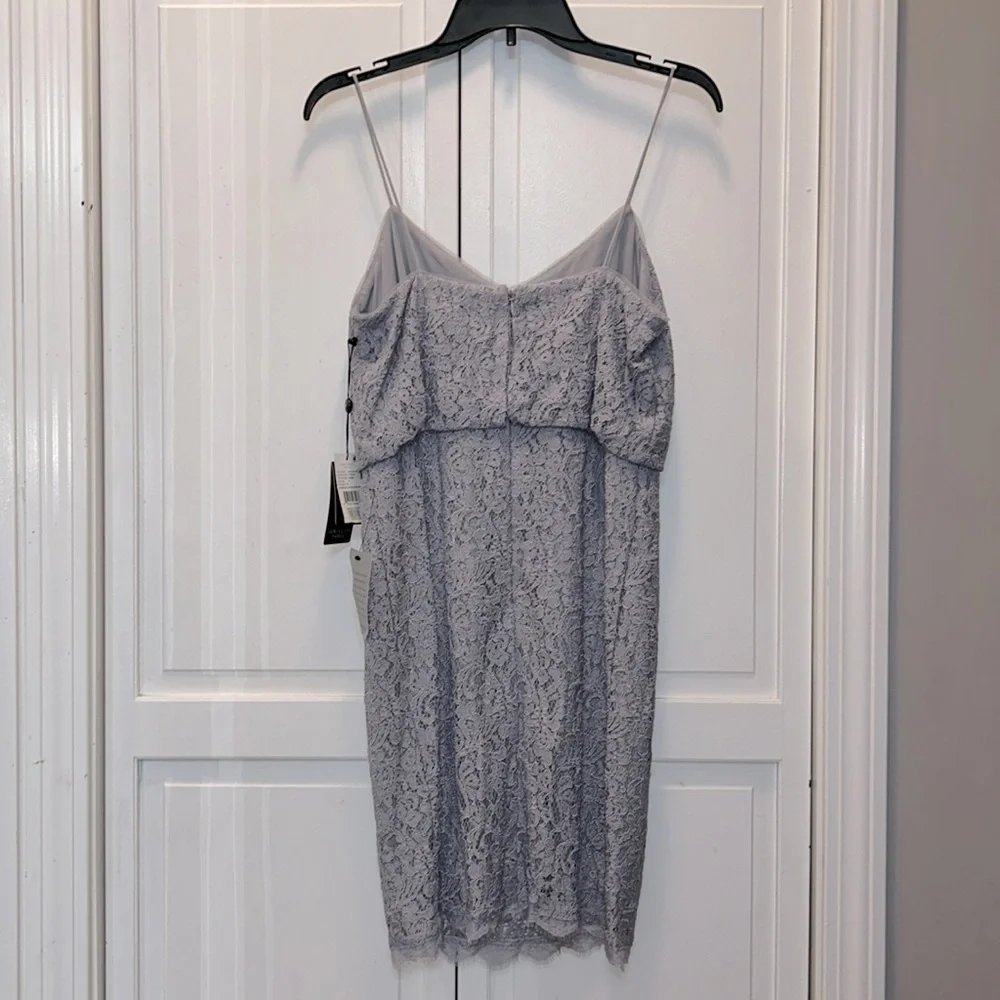 ✨ Adrianna Papell ✨ NWT Guipure Lace Blouson Dress Light Dove Size 6 - Picture 3 of 10